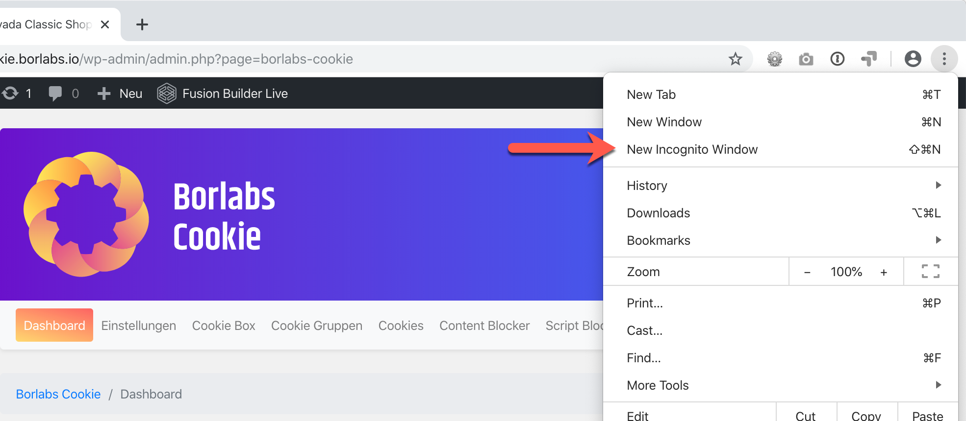 5. Einrichtung testen Borlabs Cookie